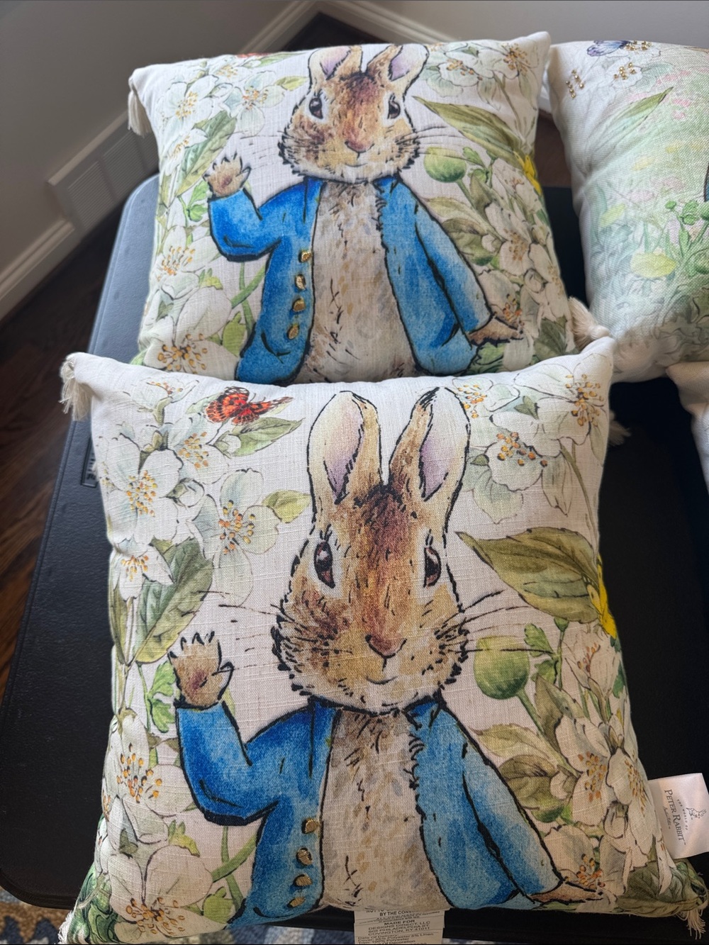 2 Easter Bunny Decorative Throw Pillow - Blue Jacket